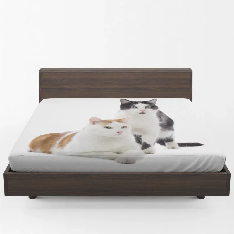 Graceful Cat Pose Fitted Sheet