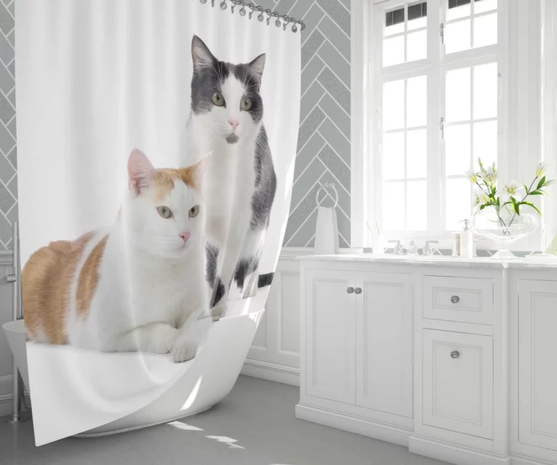 Graceful Cat Pose Shower Curtain 1