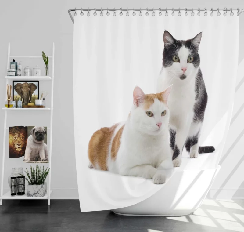 Graceful Cat Pose Shower Curtain