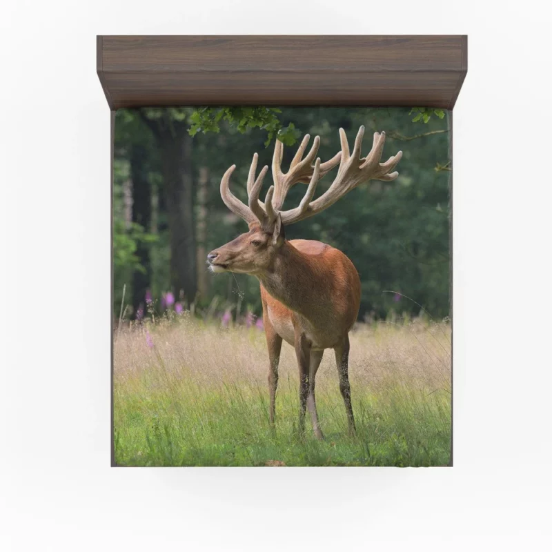 Graceful Deer Amidst Nature Beauty Fitted Sheet 1