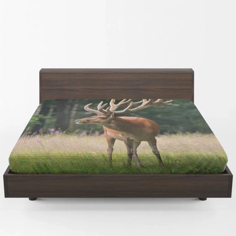 Graceful Deer Amidst Nature Beauty Fitted Sheet