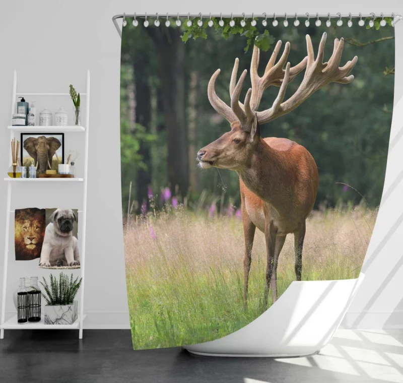 Graceful Deer Amidst Nature Beauty Shower Curtain