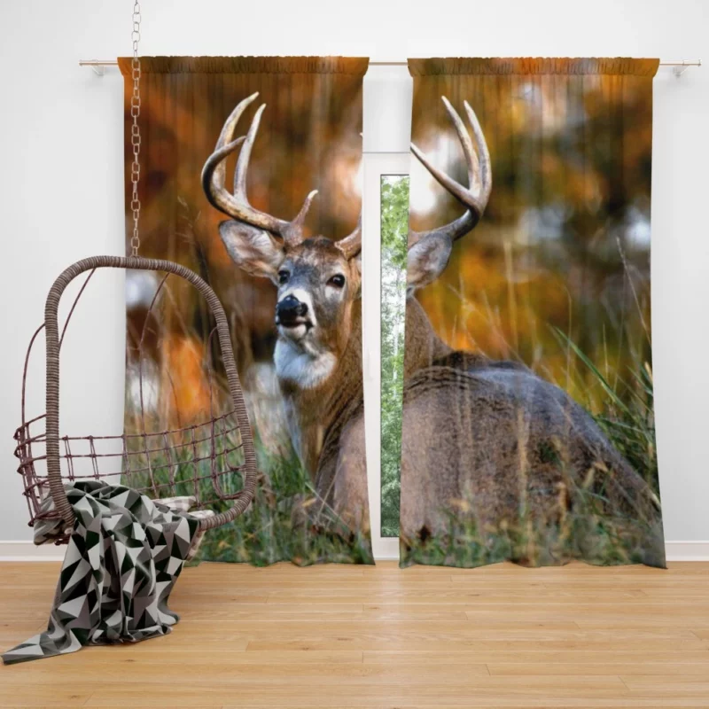 Graceful Deer Beauty in Motion Curtain