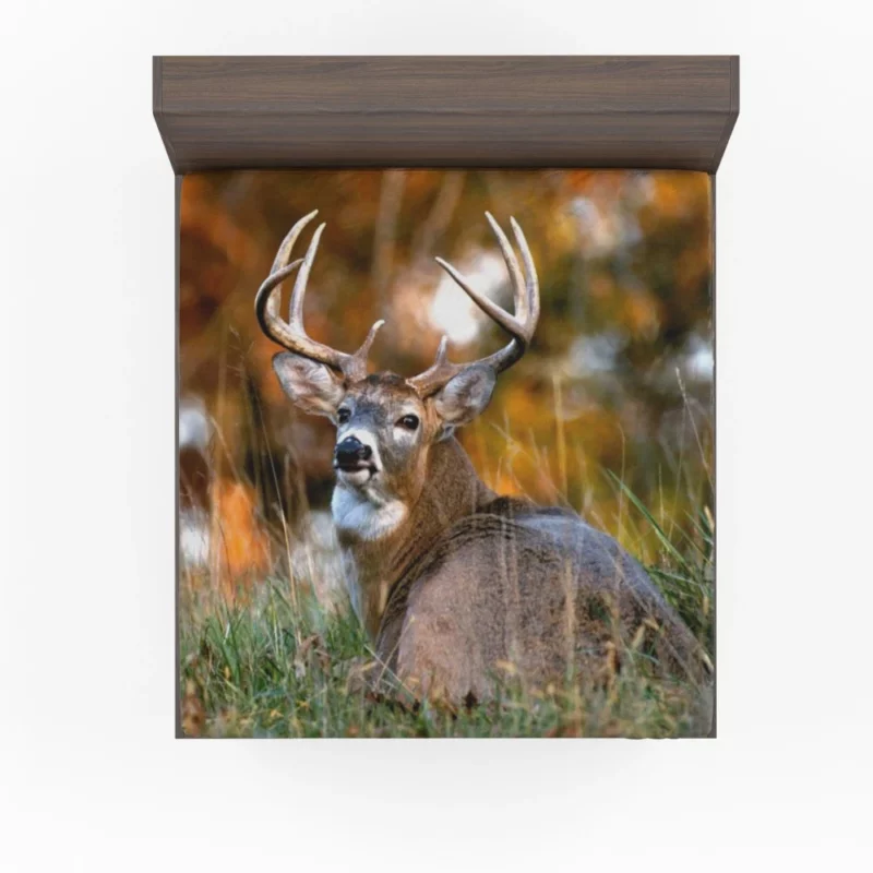 Graceful Deer Beauty in Motion Fitted Sheet 1