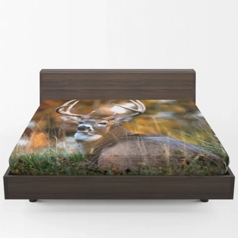 Graceful Deer Beauty in Motion Fitted Sheet