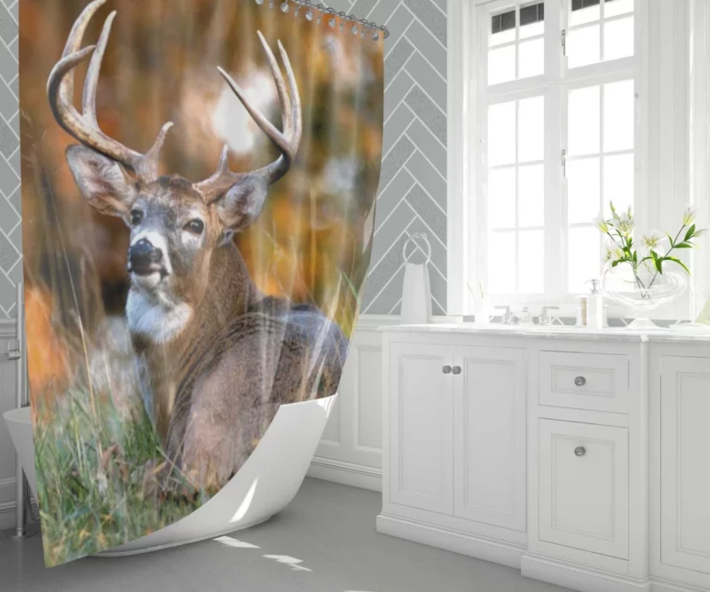 Graceful Deer Beauty in Motion Shower Curtain 1