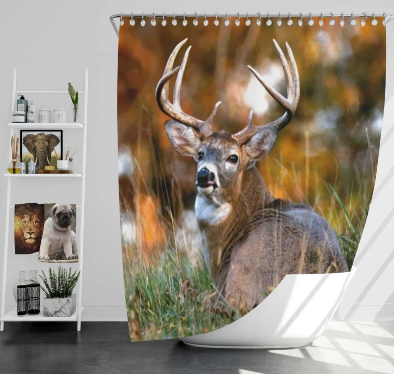 Graceful Deer Beauty in Motion Shower Curtain