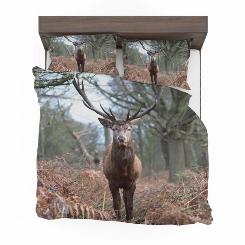 Graceful Deer Fall Stance Wilderness Elegance Bedding Set 1