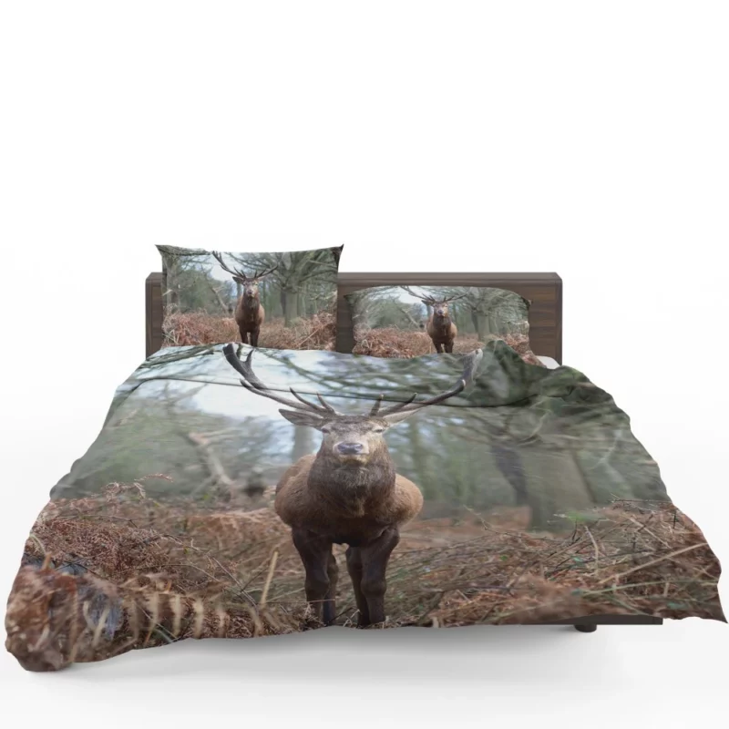 Graceful Deer Fall Stance Wilderness Elegance Bedding Set