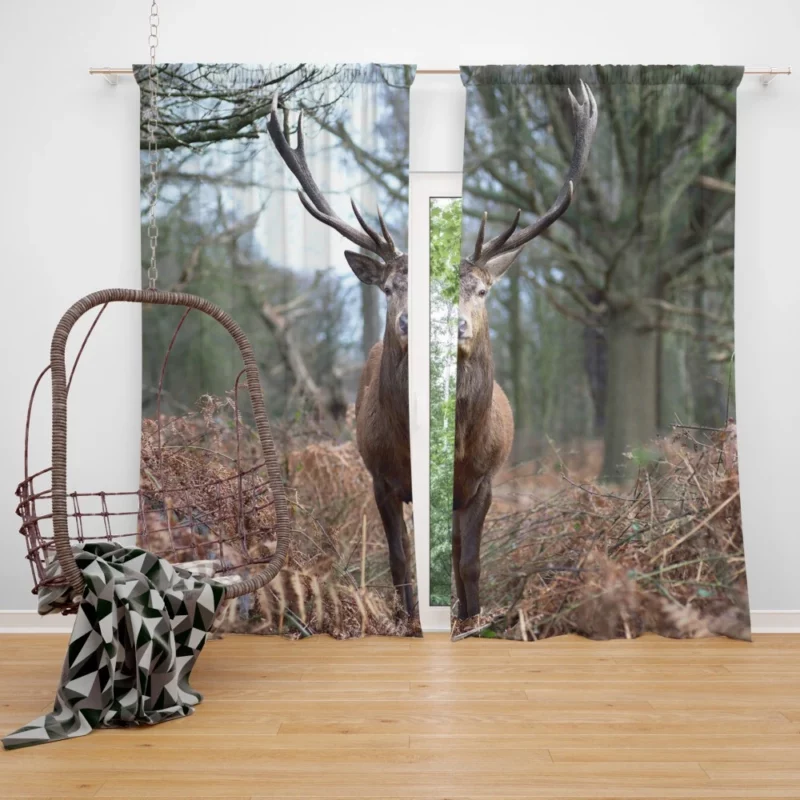 Graceful Deer Fall Stance Wilderness Elegance Curtain