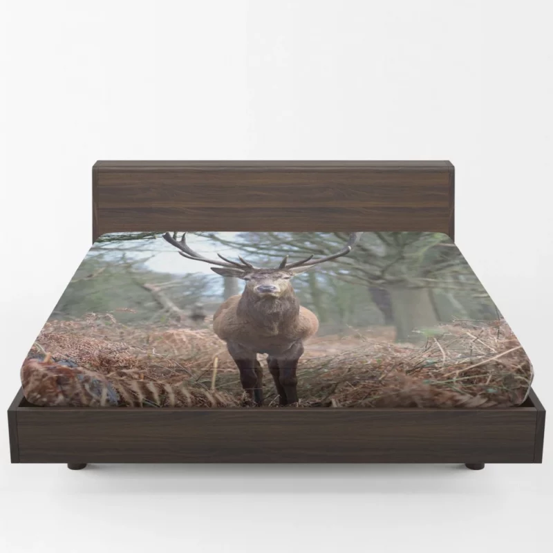 Graceful Deer Fall Stance Wilderness Elegance Fitted Sheet