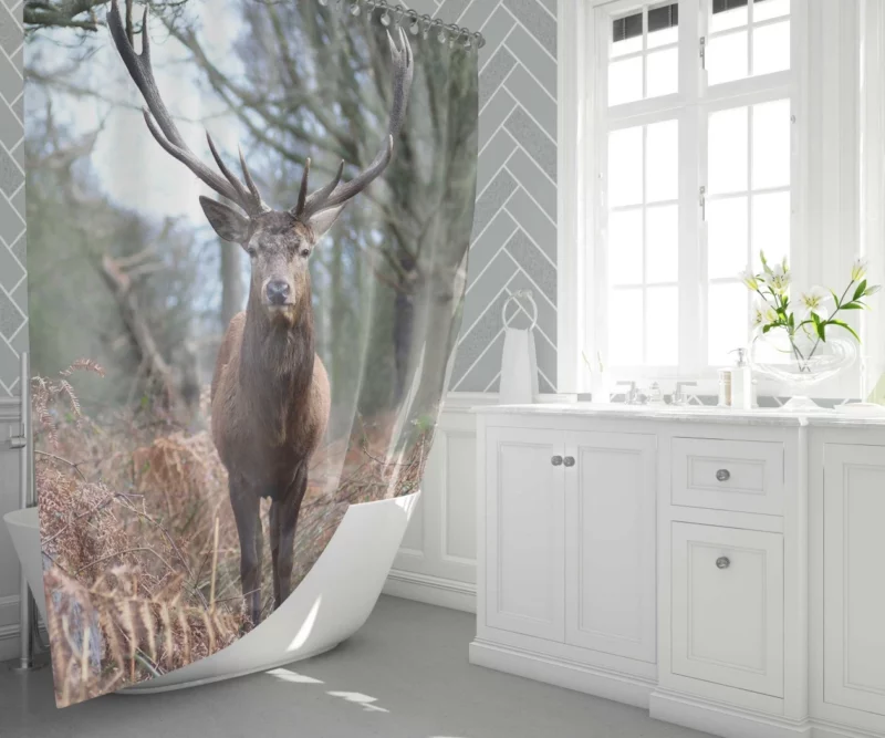 Graceful Deer Fall Stance Wilderness Elegance Shower Curtain 1