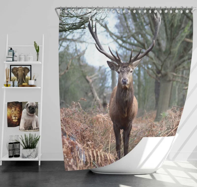 Graceful Deer Fall Stance Wilderness Elegance Shower Curtain