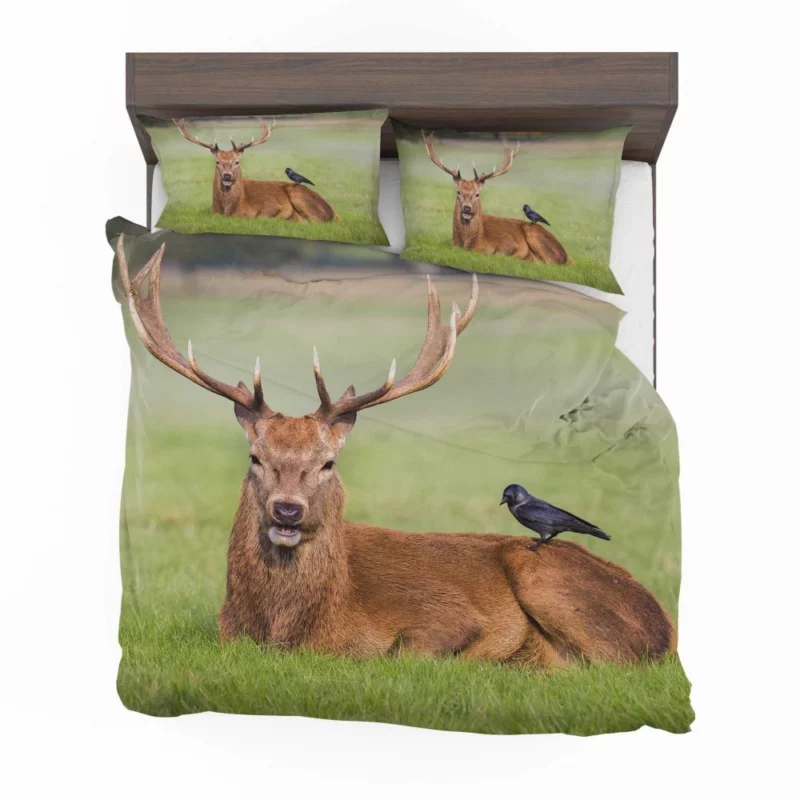 Graceful Deer in Meadow Bird Eye Bedding Set 1