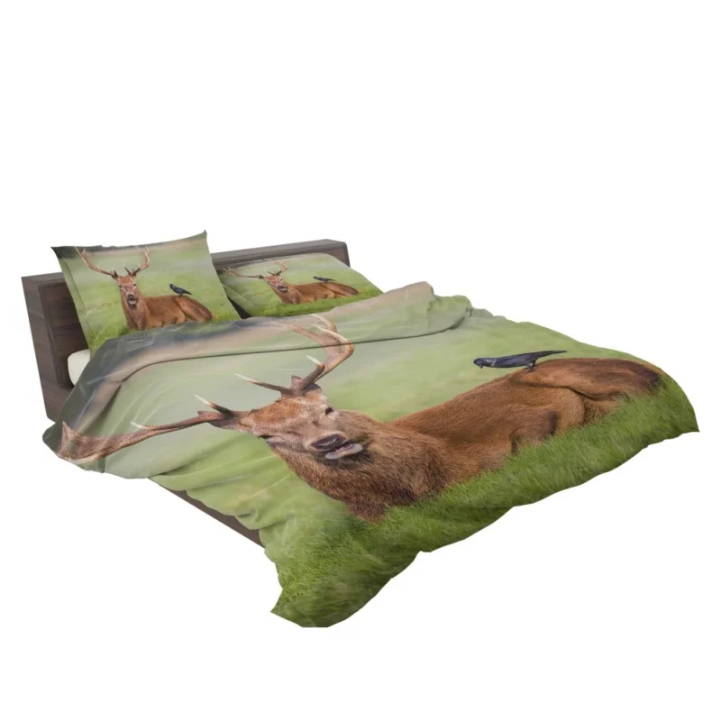 Graceful Deer in Meadow Bird Eye Bedding Set 2