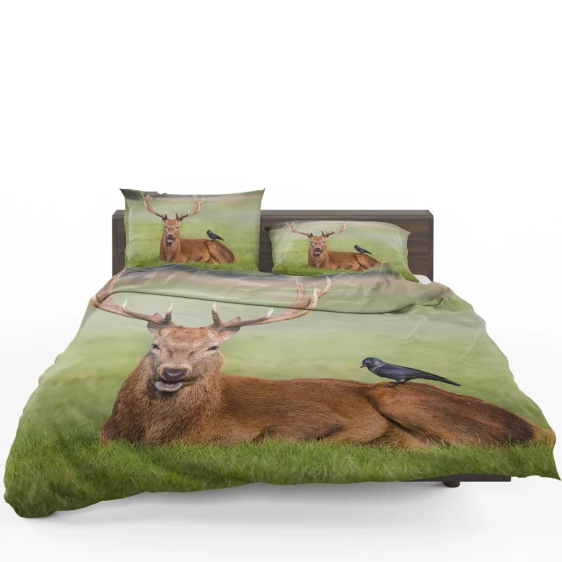 Graceful Deer in Meadow Bird Eye Bedding Set