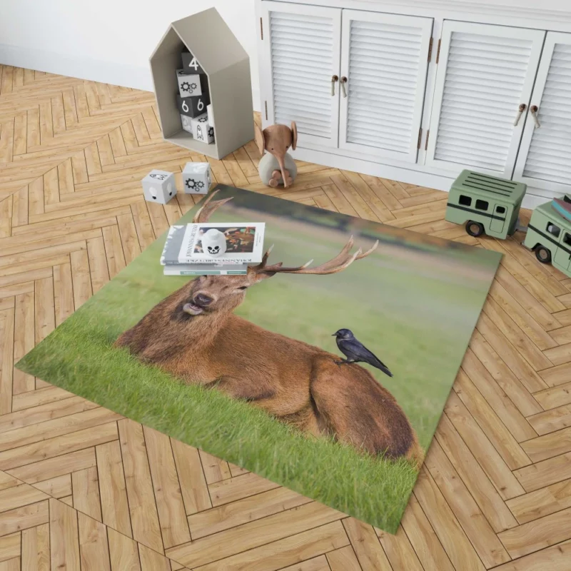 Graceful Deer in Meadow Bird Eye Rug 1