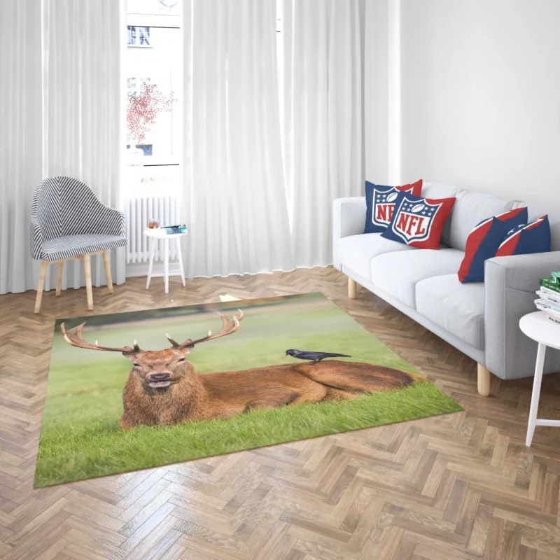 Graceful Deer in Meadow Bird Eye Rug 2