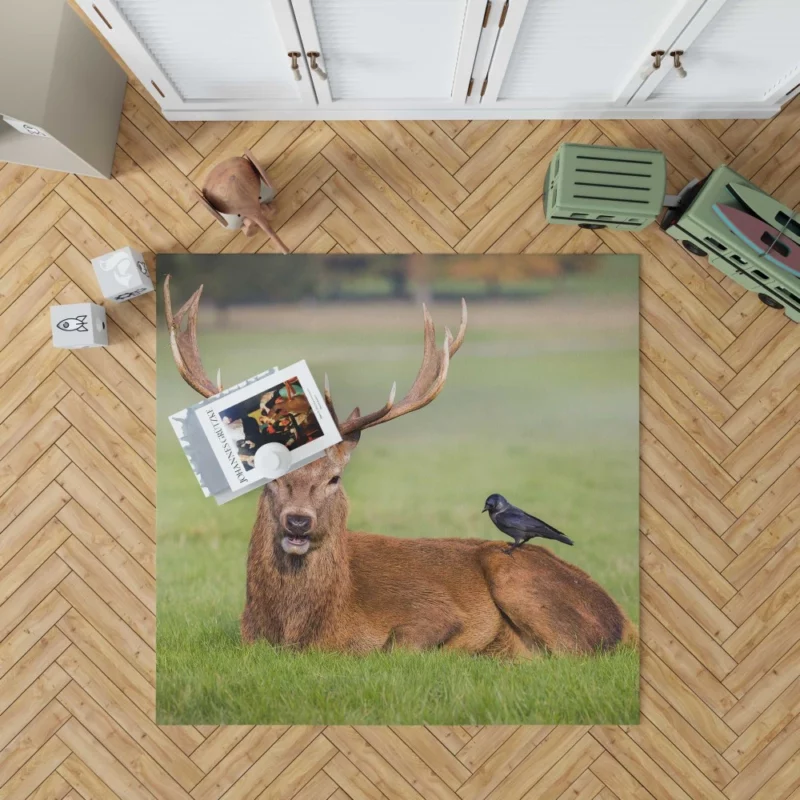 Graceful Deer in Meadow Bird Eye Rug