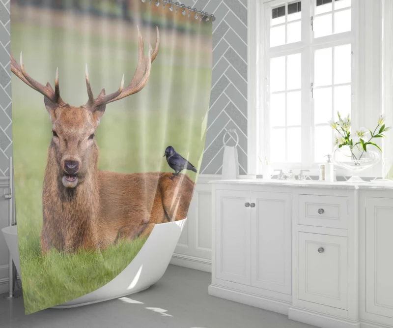 Graceful Deer in Meadow Bird Eye Shower Curtain 1