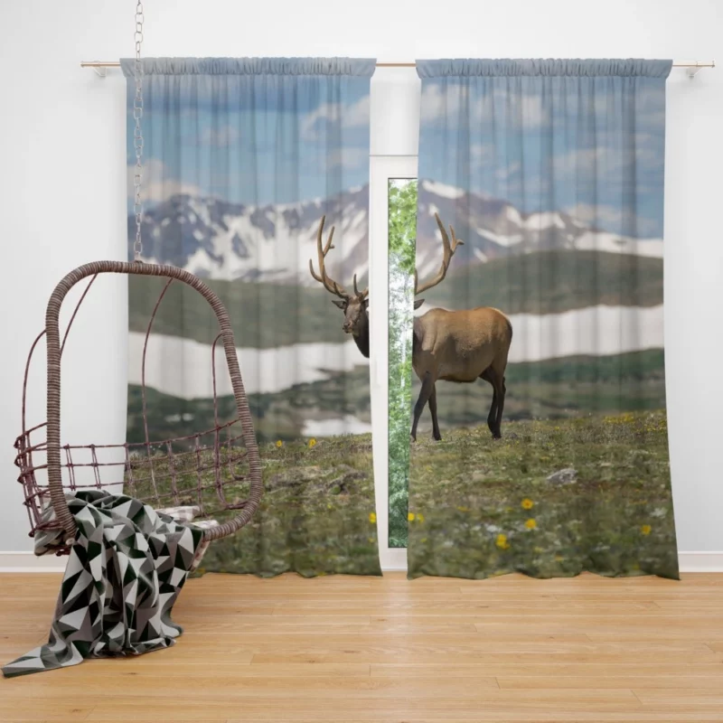 Graceful Deer in Serene Landscape Curtain