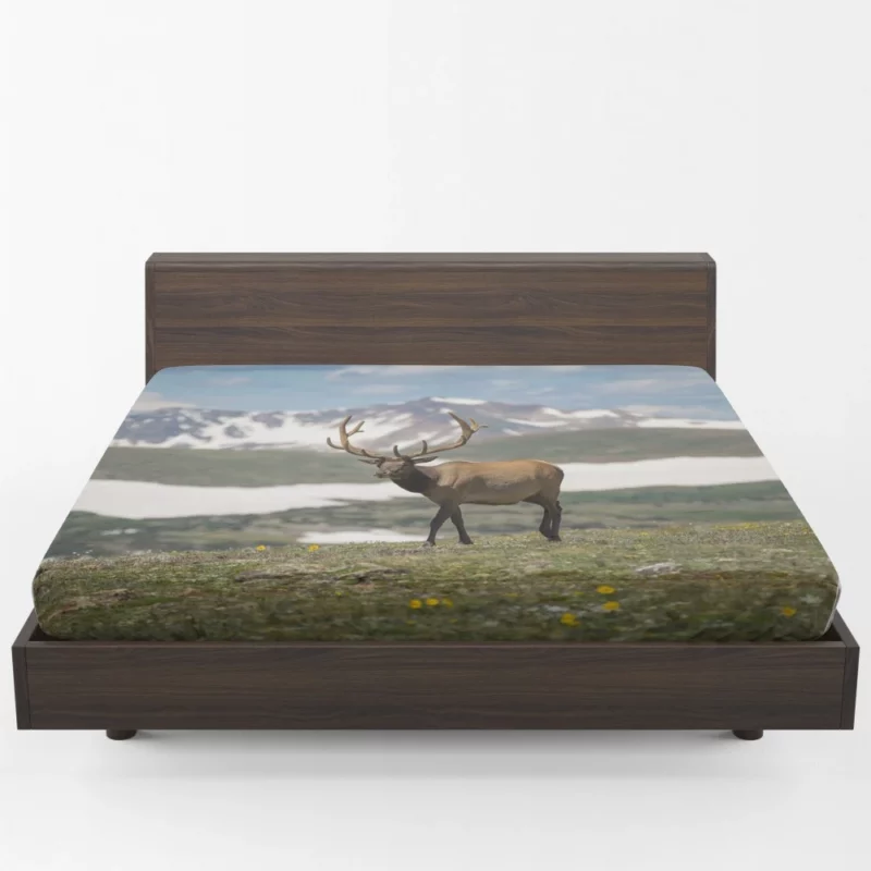 Graceful Deer in Serene Landscape Fitted Sheet