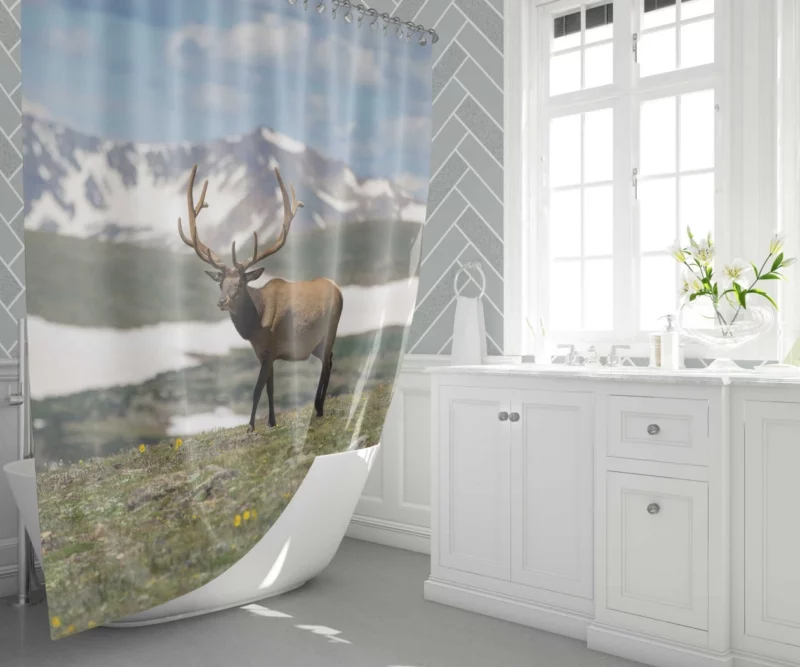 Graceful Deer in Serene Landscape Shower Curtain 1