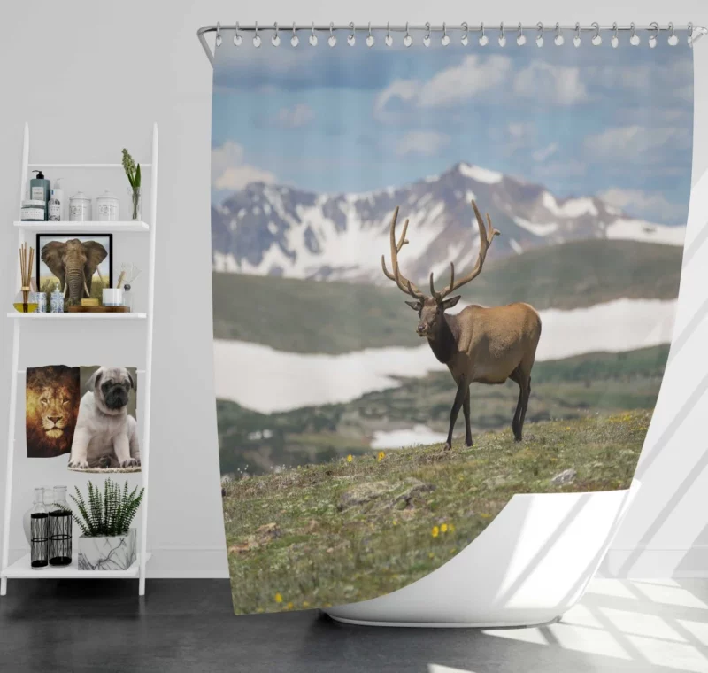 Graceful Deer in Serene Landscape Shower Curtain