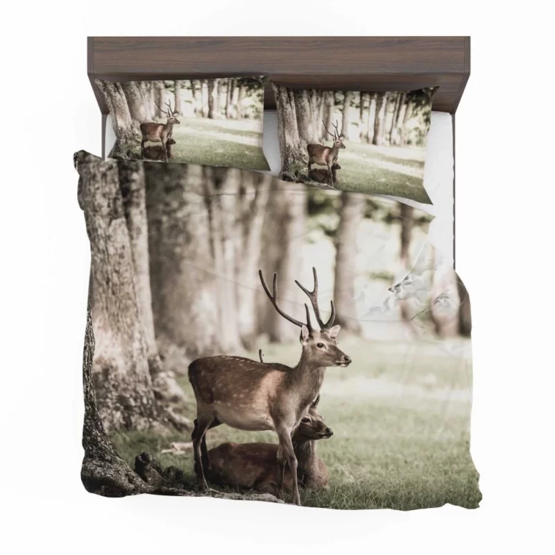 Graceful Deer in Sunlit Grass Bedding Set 1