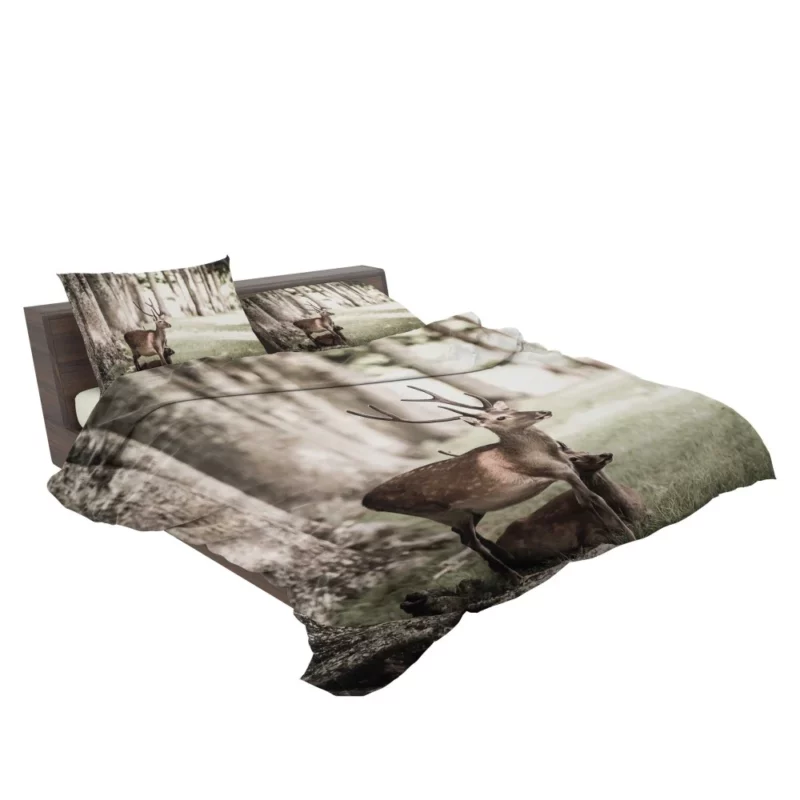 Graceful Deer in Sunlit Grass Bedding Set 2