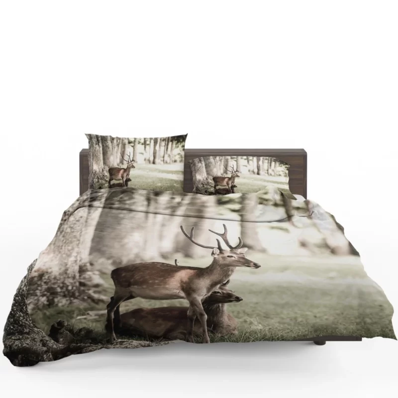 Graceful Deer in Sunlit Grass Bedding Set