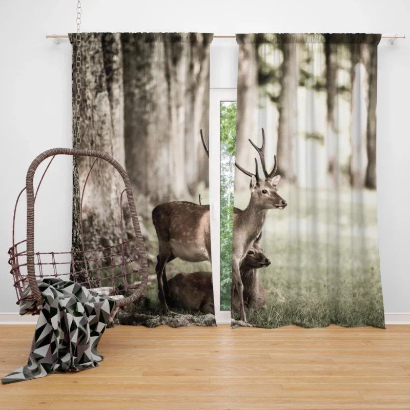 Graceful Deer in Sunlit Grass Curtain