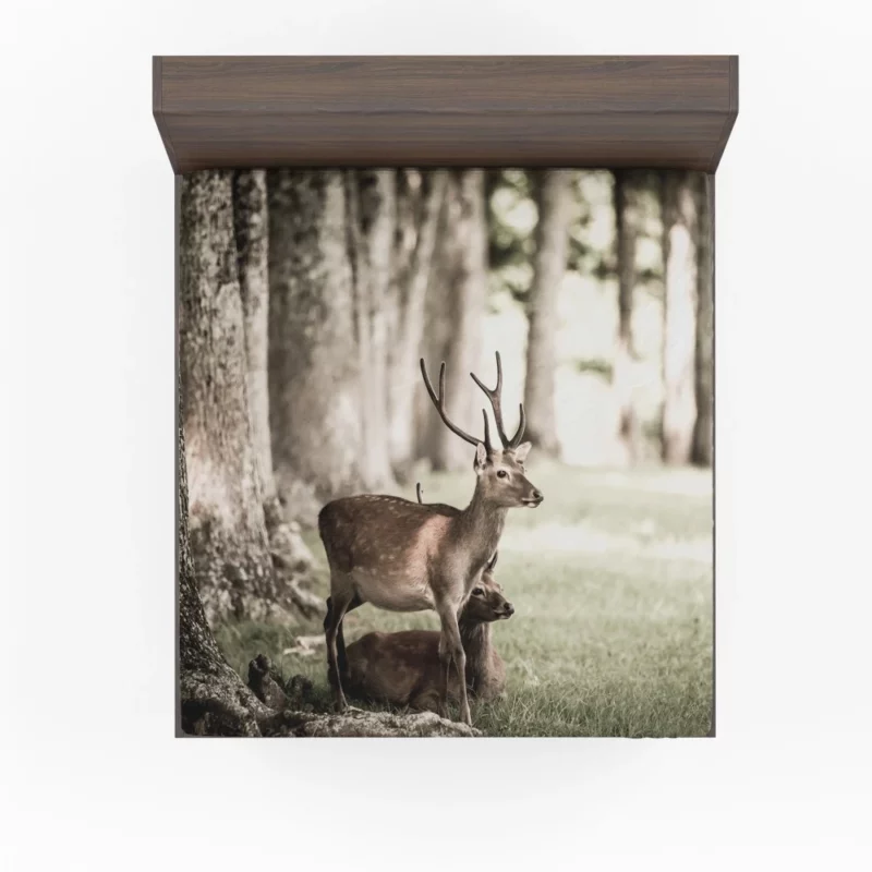 Graceful Deer in Sunlit Grass Fitted Sheet 1