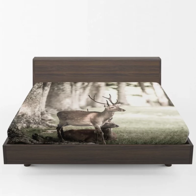 Graceful Deer in Sunlit Grass Fitted Sheet