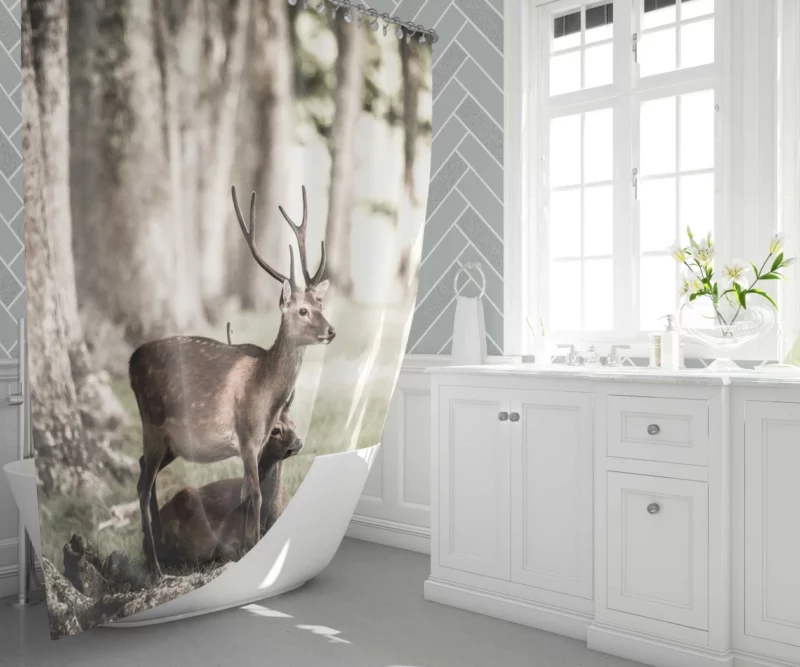 Graceful Deer in Sunlit Grass Shower Curtain 1