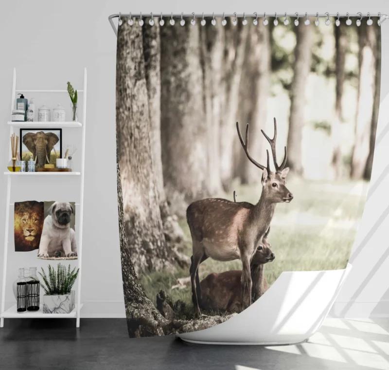 Graceful Deer in Sunlit Grass Shower Curtain