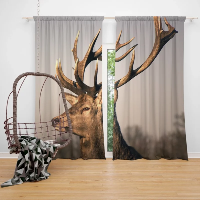 Graceful Deer in the Wild Silent Beauty Curtain