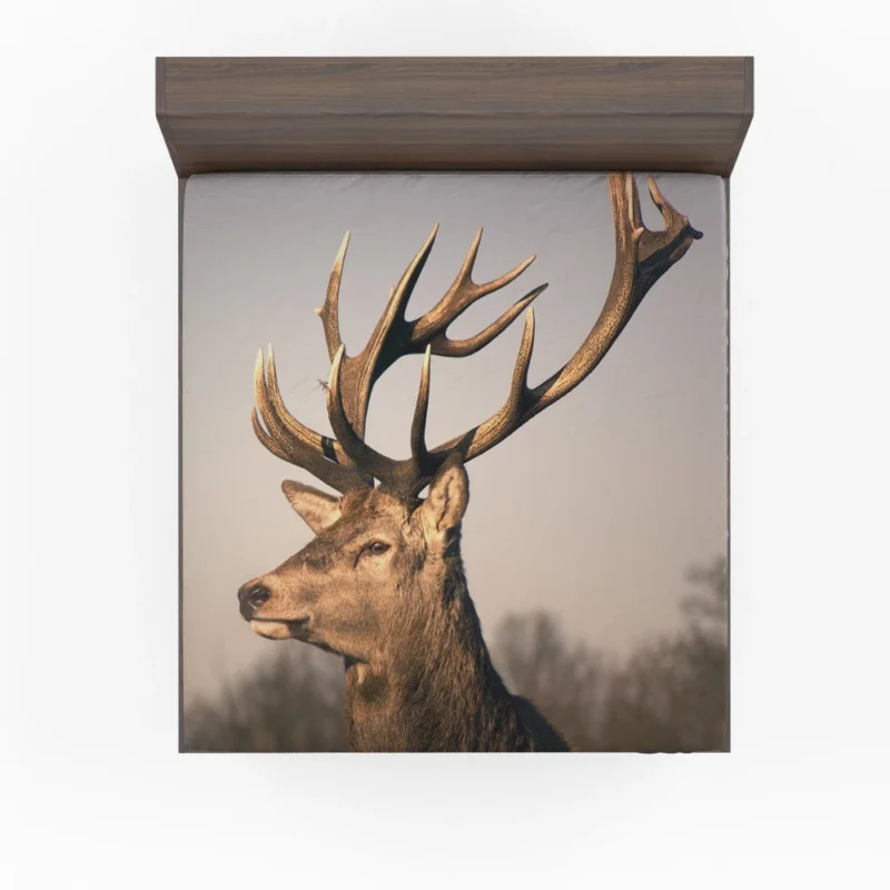 Graceful Deer in the Wild Silent Beauty Fitted Sheet 1