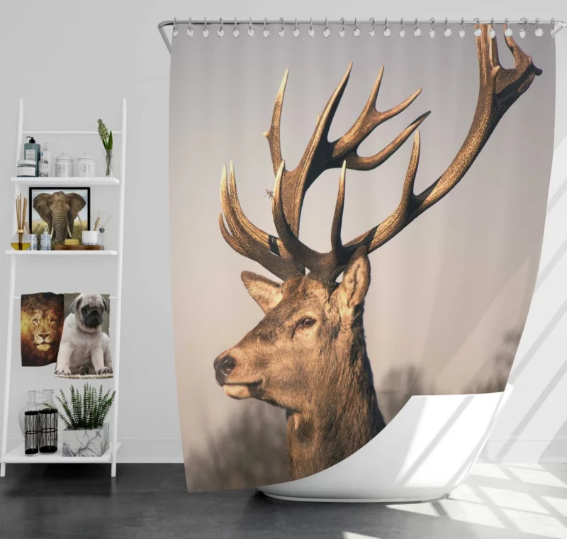 Graceful Deer in the Wild Silent Beauty Shower Curtain