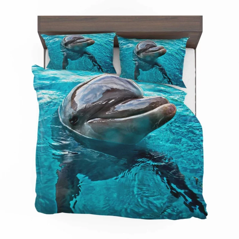 Graceful Dolphin Aquatic Elegance Bedding Set 1