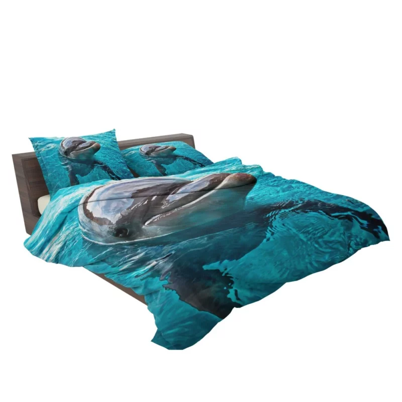 Graceful Dolphin Aquatic Elegance Bedding Set 2