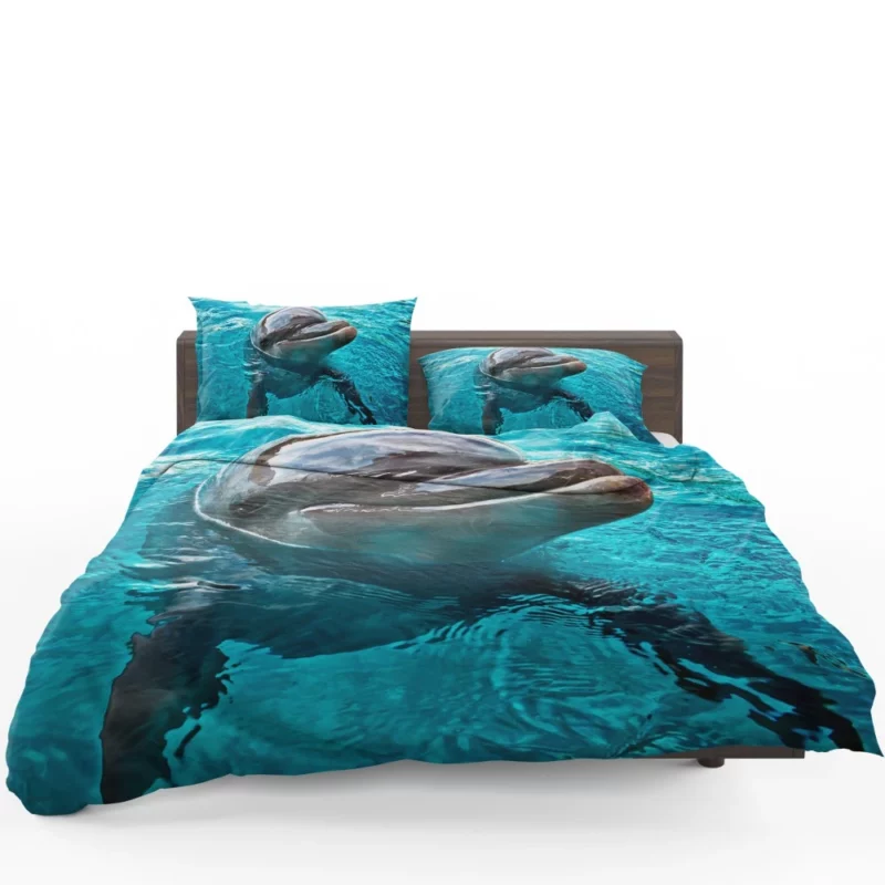 Graceful Dolphin Aquatic Elegance Bedding Set