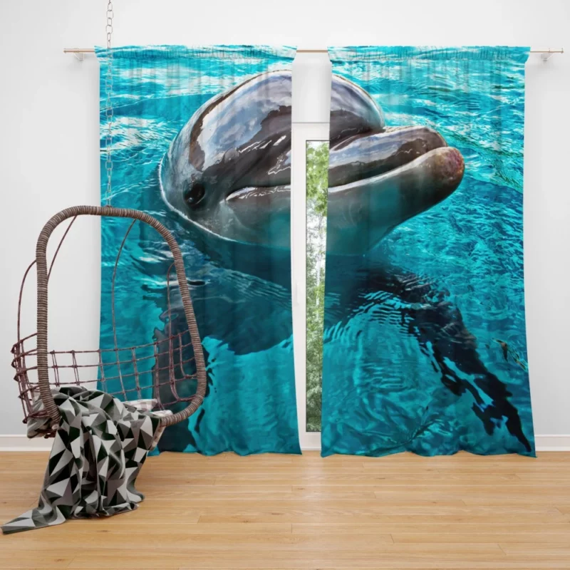 Graceful Dolphin Aquatic Elegance Curtain