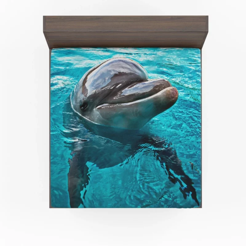 Graceful Dolphin Aquatic Elegance Fitted Sheet 1