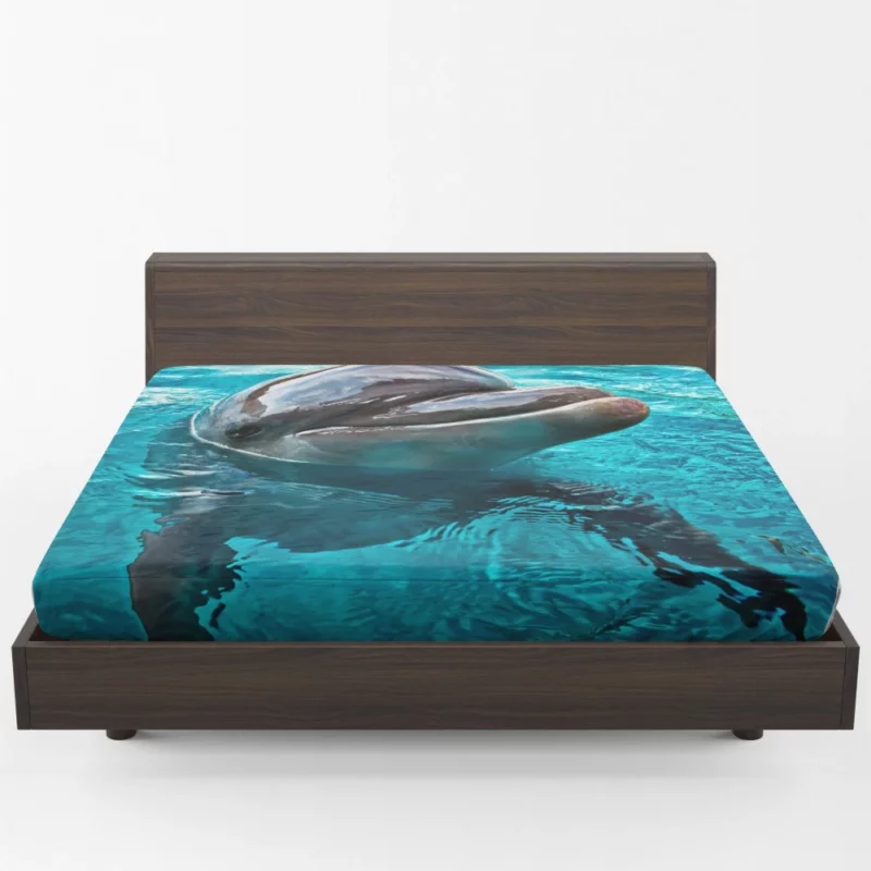 Graceful Dolphin Aquatic Elegance Fitted Sheet