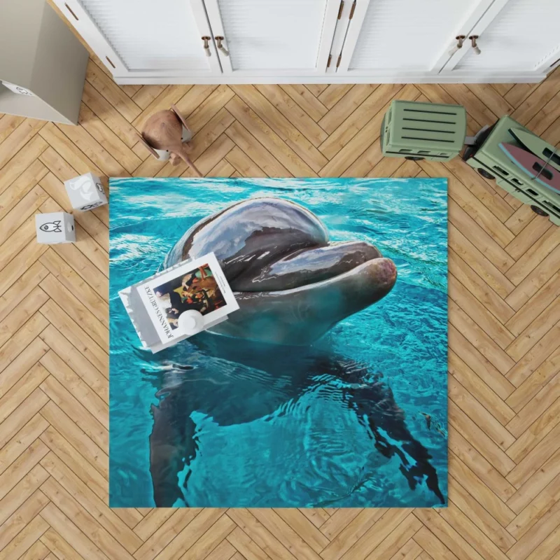 Graceful Dolphin Aquatic Elegance Rug