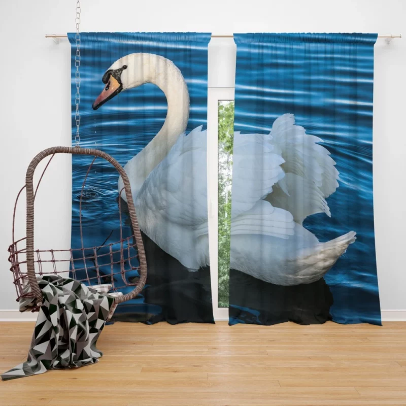 Graceful Elegance Mute Swan Curtain