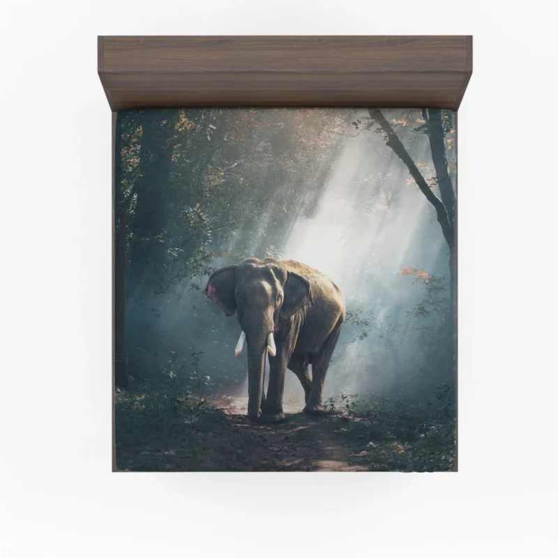 Graceful Elephant in Its Natural Forest Fitted Sheet 1