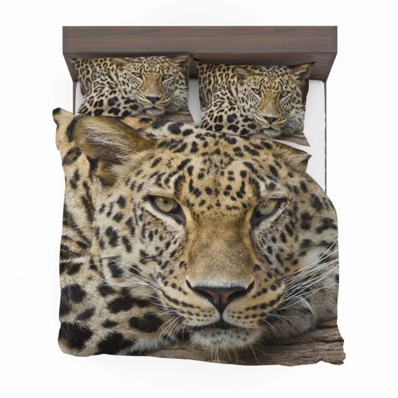 Graceful Leopard Enigmatic Charm Bedding Set 1