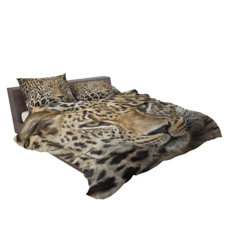 Graceful Leopard Enigmatic Charm Bedding Set 2